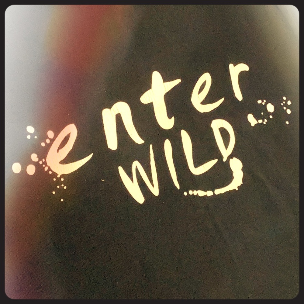 EnterWild